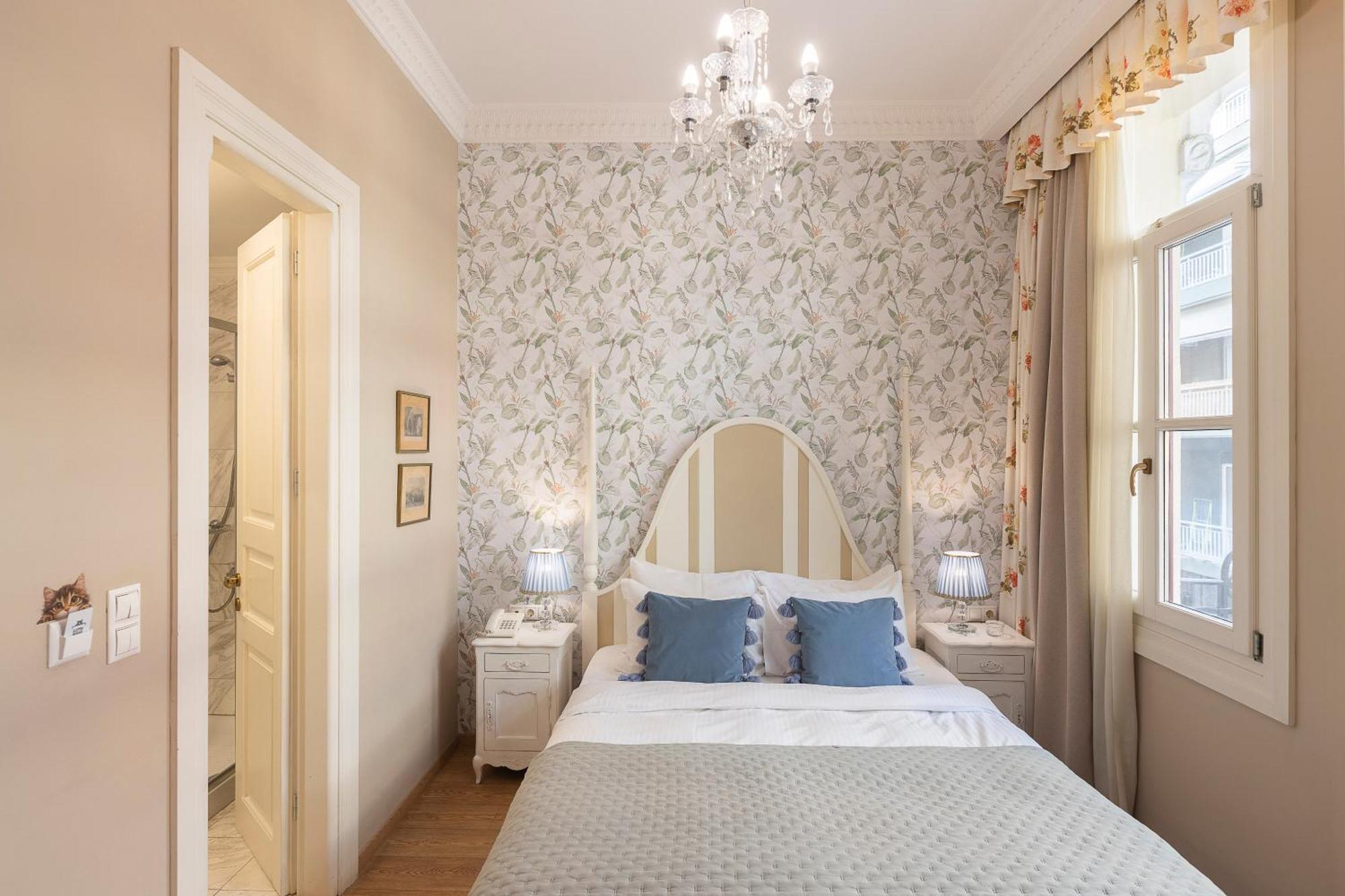 Gatto Perso Luxury Daire