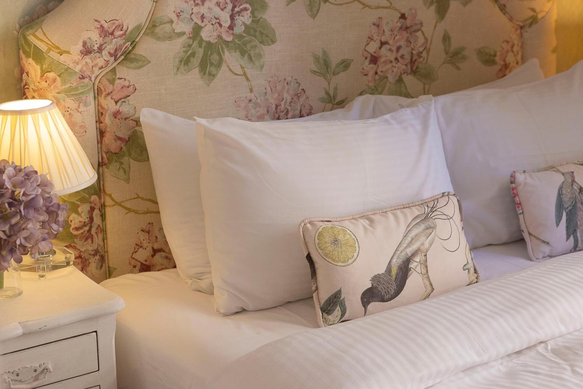 Gatto Perso Luxury Studio Apartments Apartment *